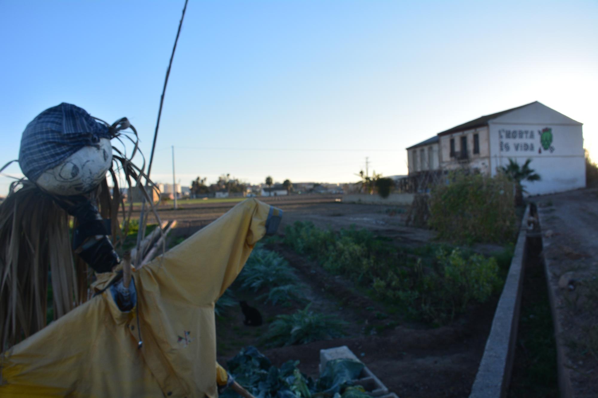 espantapajaros forn v21